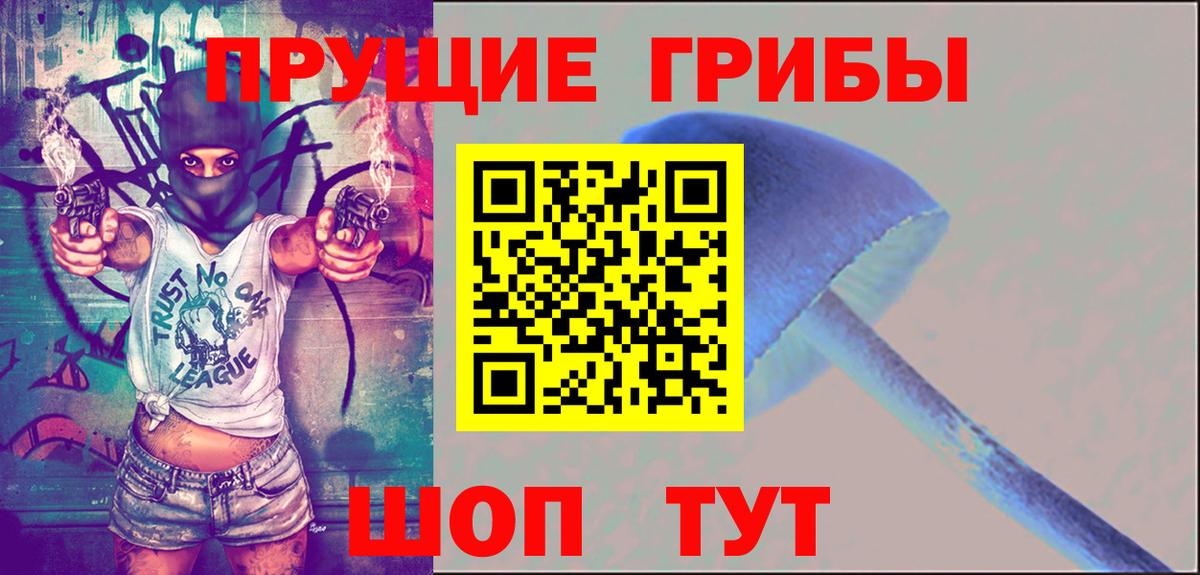 Галлюциногенные грибы Psilocybine cubensis  Вход с VPN  Псилоцибиновые грибы Magic Shrooms  Новосибирск 