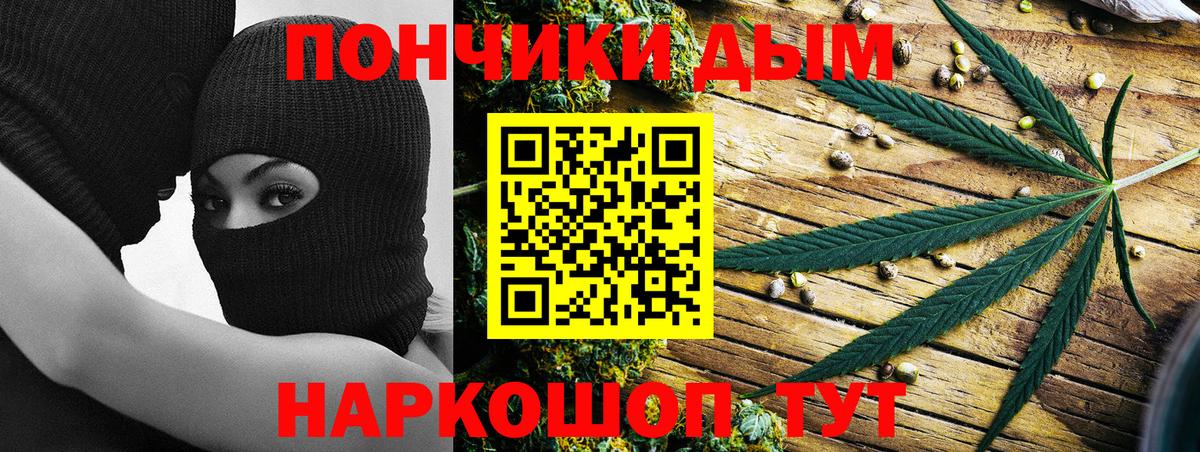 Каннабис OG Kush Новосибирск